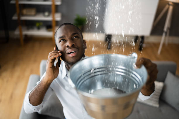 Best Water damage restoration process  in Pequot Lakes, MN