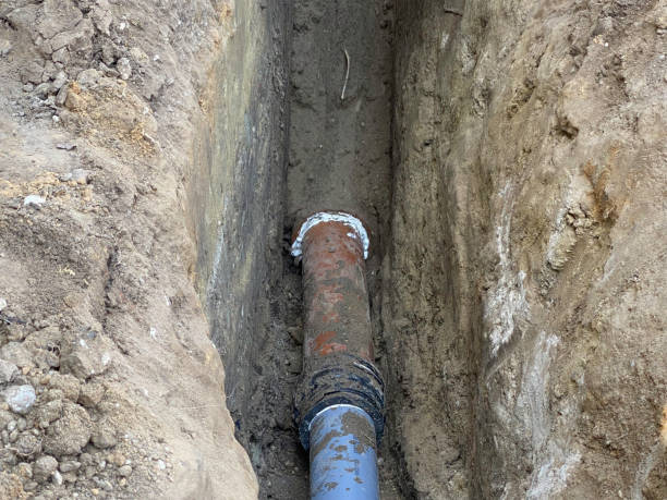 Best Professional water damage repair  in Pequot Lakes, MN