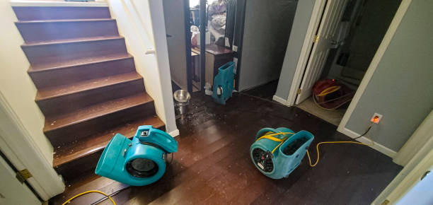 Sewage cleanup and water damage restoration in Pequot Lakes, MN