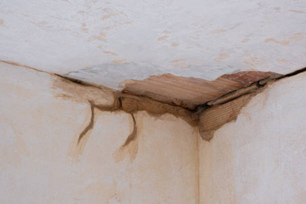 Best Residential water damage restoration  in Pequot Lakes, MN