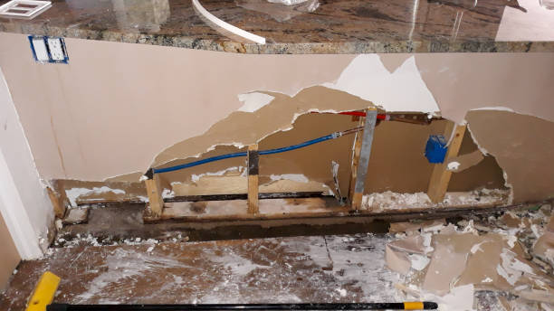 Best 24/7 water damage repair  in Pequot Lakes, MN