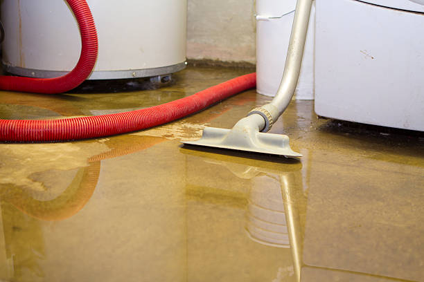 Best Fire Damage Restoration  in Pequot Lakes, MN