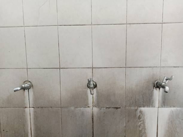 Best Commercial water damage restoration  in Pequot Lakes, MN