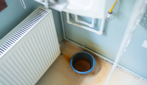 Best Residential water damage restoration  in Pequot Lakes, MN