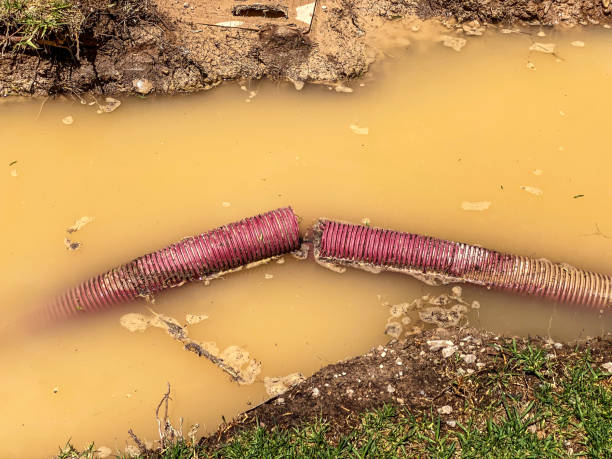 Best Sewage cleanup and water damage restoration  in Pequot Lakes, MN