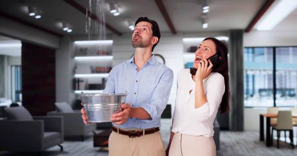 Best Mold removal after water damage  in Pequot Lakes, MN